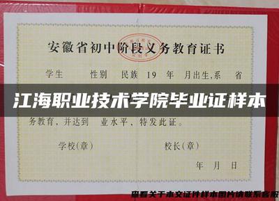 江海职业技术学院毕业证样本与计算机技术培训解析